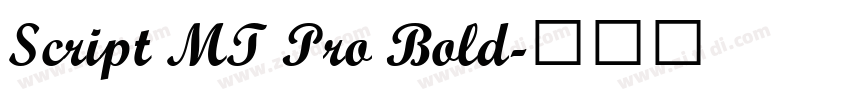 Script MT Pro Bold字体转换